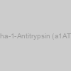 Human Alpha-1-Antitrypsin (a1AT) ELISA Kit
